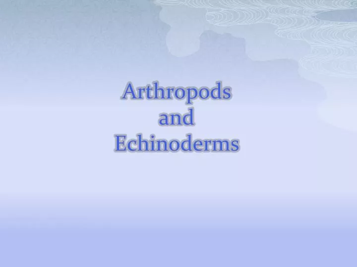 arthropods and echinoderms