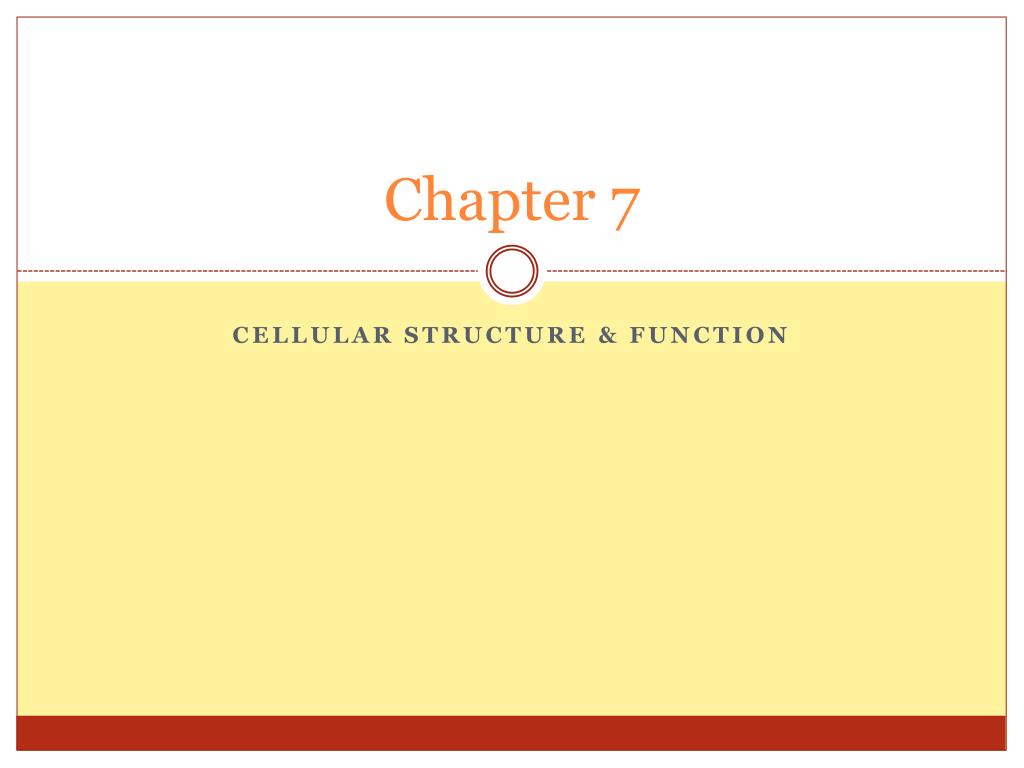 PPT - Chapter 7 PowerPoint Presentation, free download - ID:2241986