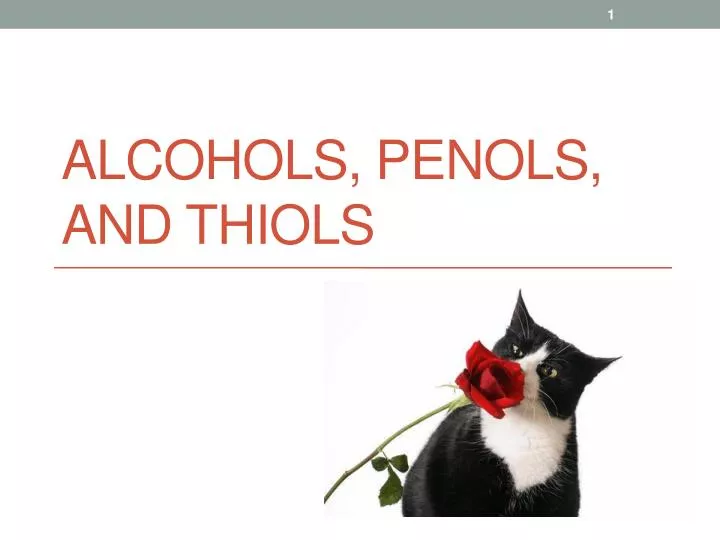 alcohols penols and thiols