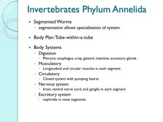 Invertebrates Phylum Annelida