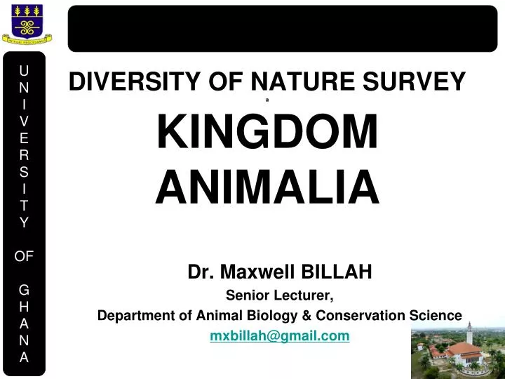 diversity of nature survey a kingdom animalia