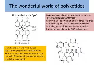 The wonderful world of polyketides