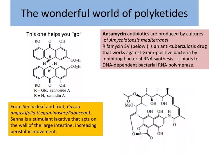 the wonderful world of polyketides