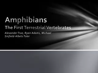 Amphibians The First Terrestrial Vertebrates