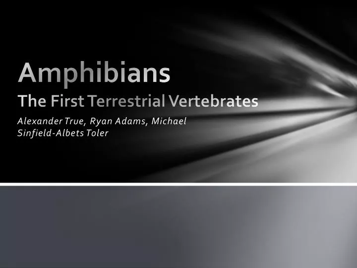 amphibians the first terrestrial vertebrates