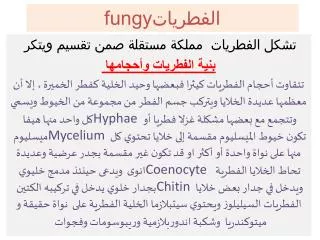 fungy