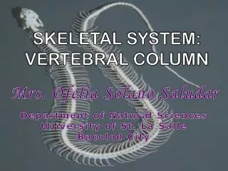 SKELETAL SYSTEM: VERTEBRAL COLUMN