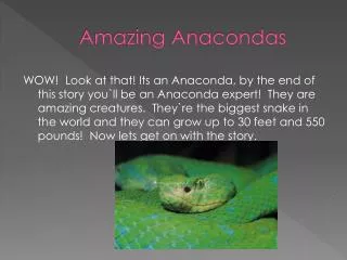 Amazing Anacondas