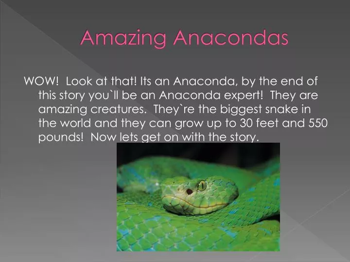 amazing anacondas