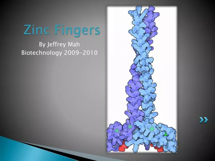 zinc fingers