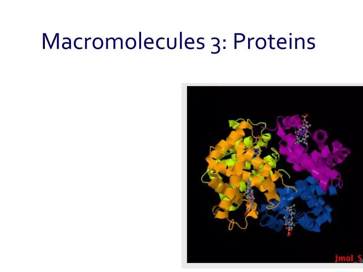 macromolecules 3 proteins