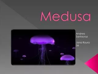 medusa