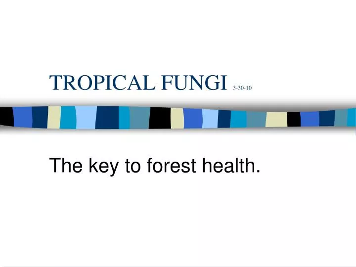 tropical fungi 3 30 10