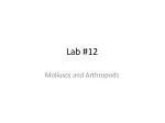 Lab #12 - slide 1