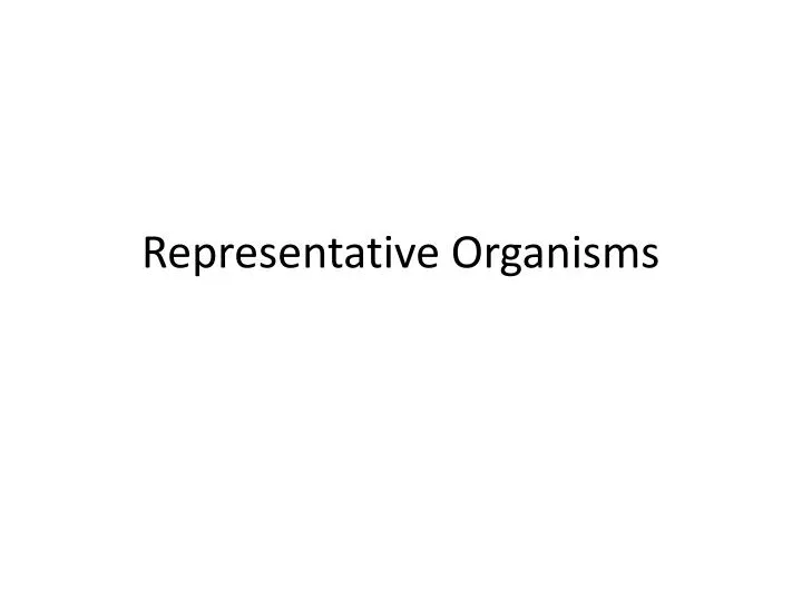 representative organisms