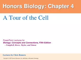 Honors Biology: Chapter 4