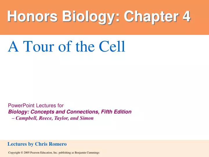 honors biology chapter 4