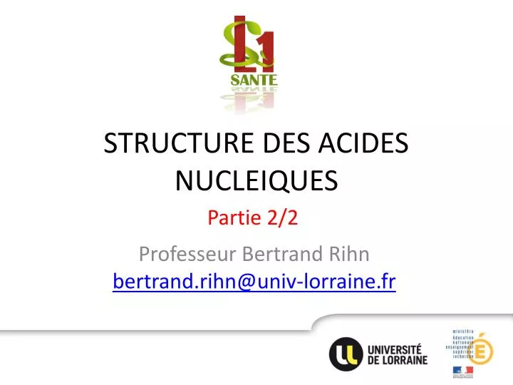 structure des acides nucleiques