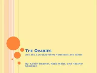 The Ovaries