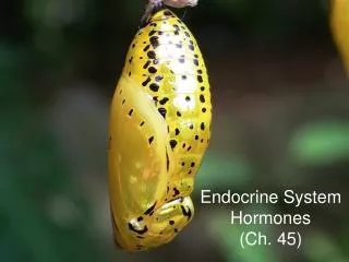 Endocrine System Hormones (Ch. 45)