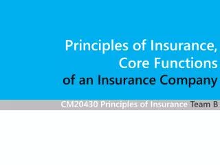 CM20430 Principles of Insurance Team B