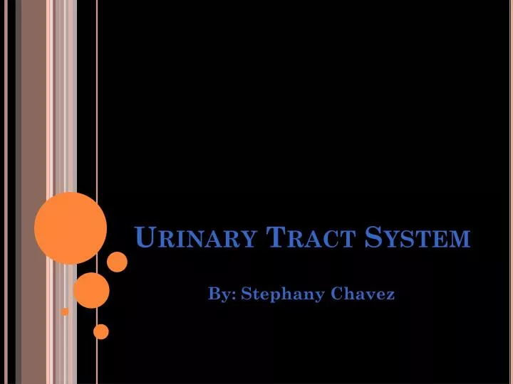 urinary tract system
