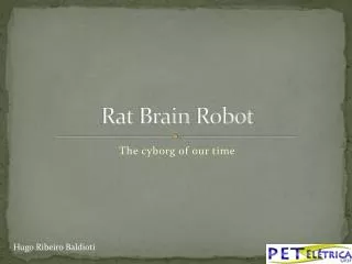 Rat Brain Robot
