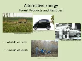 Alternative Energy Forest Products and Residues