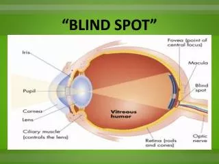 “BLIND SPOT”