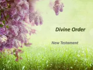 Divine Order