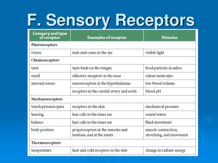 f sensory receptors