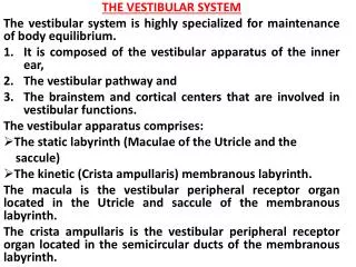 THE VESTIBULAR SYSTEM