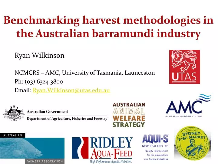 benchmarking harvest methodologies in the australian barramundi industry