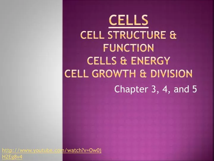 cells cell structure function cells energy cell growth division