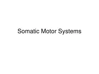 Somatic Motor Systems