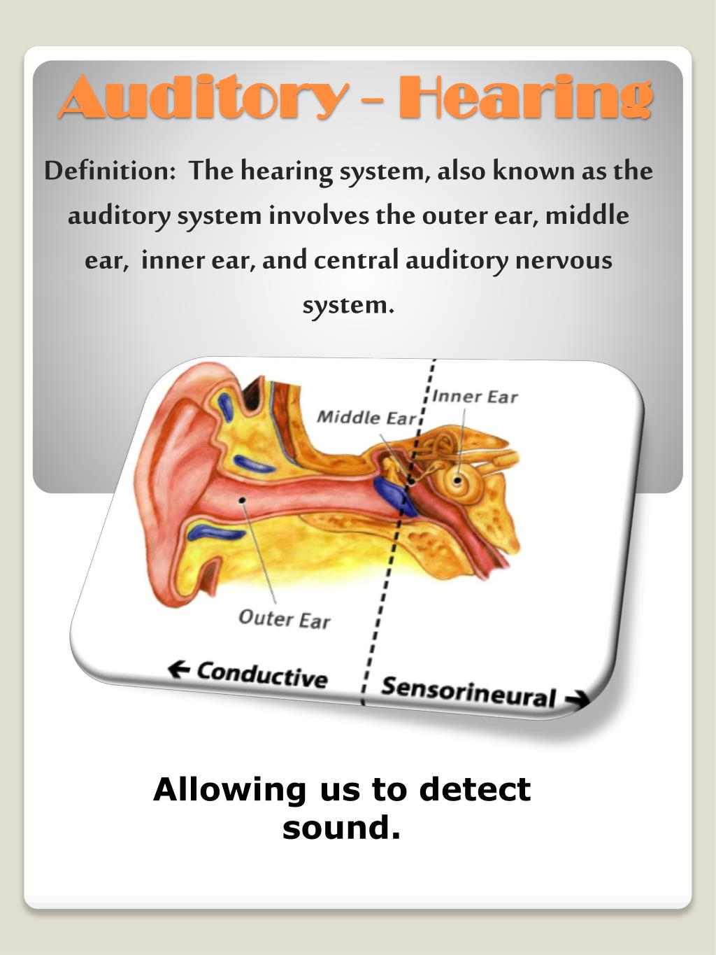 PPT - Auditory - Hearing PowerPoint Presentation, free download - ID ...