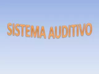 sistema auditivo