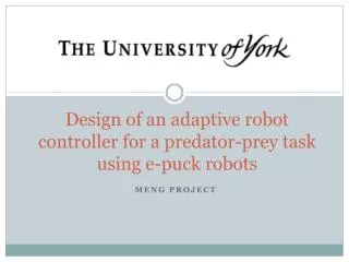Design of an adaptive r obot controller for a predator-prey task using e-puck robots