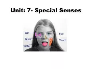 Unit: 7- Special Senses