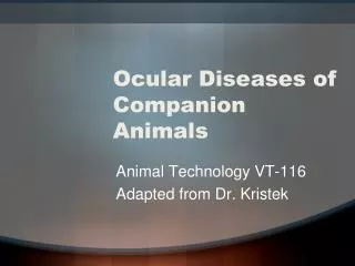 Ocular Diseases of Companion Animals