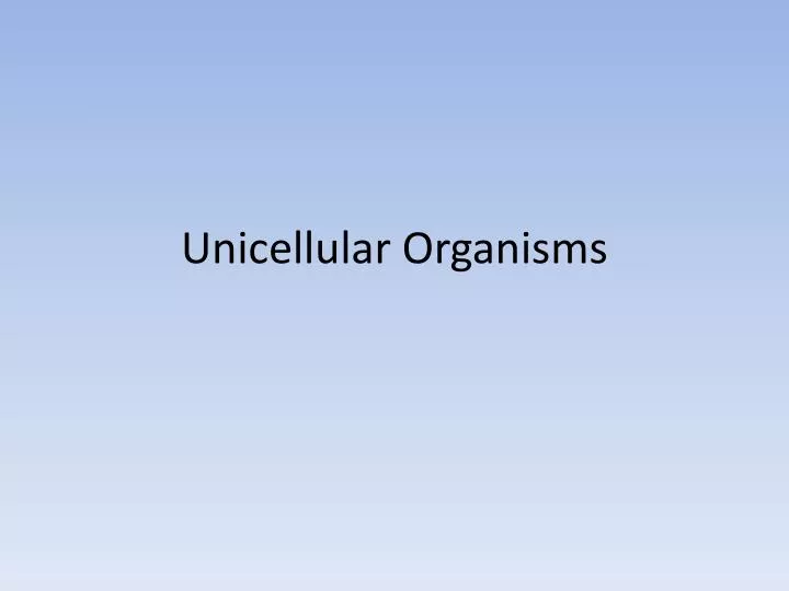 unicellular organisms