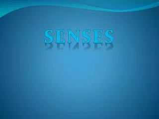 senses