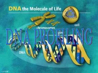 DNA PROFILING