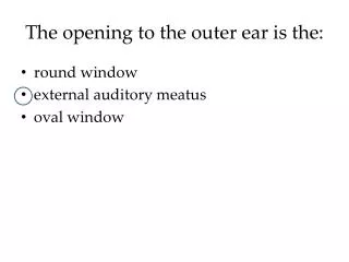The opening to the outer ear is the: