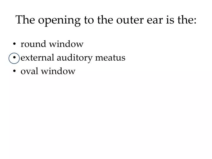 the opening to the outer ear is the