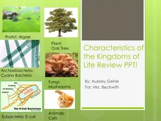 Characteristics of the Kingdoms of Life Review PPT!