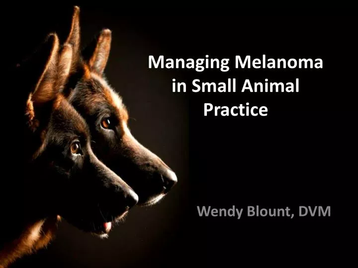 managing melanoma in small animal practice