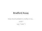 Bradford Assay - slide 1