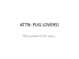 ATTN: PUG LOVERS!