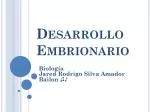 Desarrollo Embrionario - slide 1